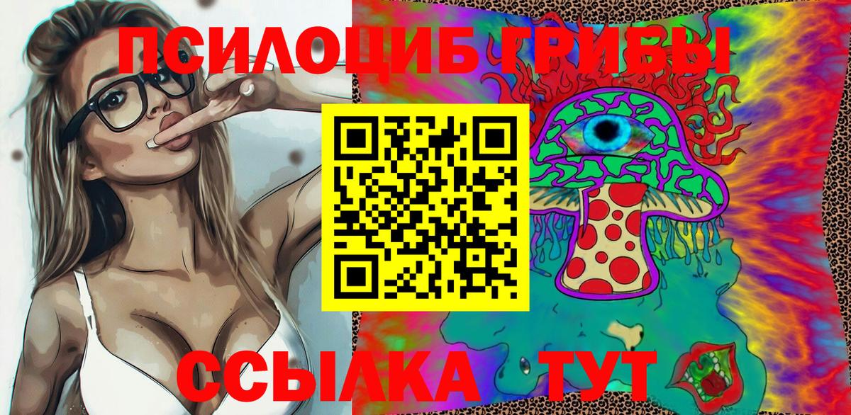 Галлюциногенные грибы Psilocybine cubensis Изобильный